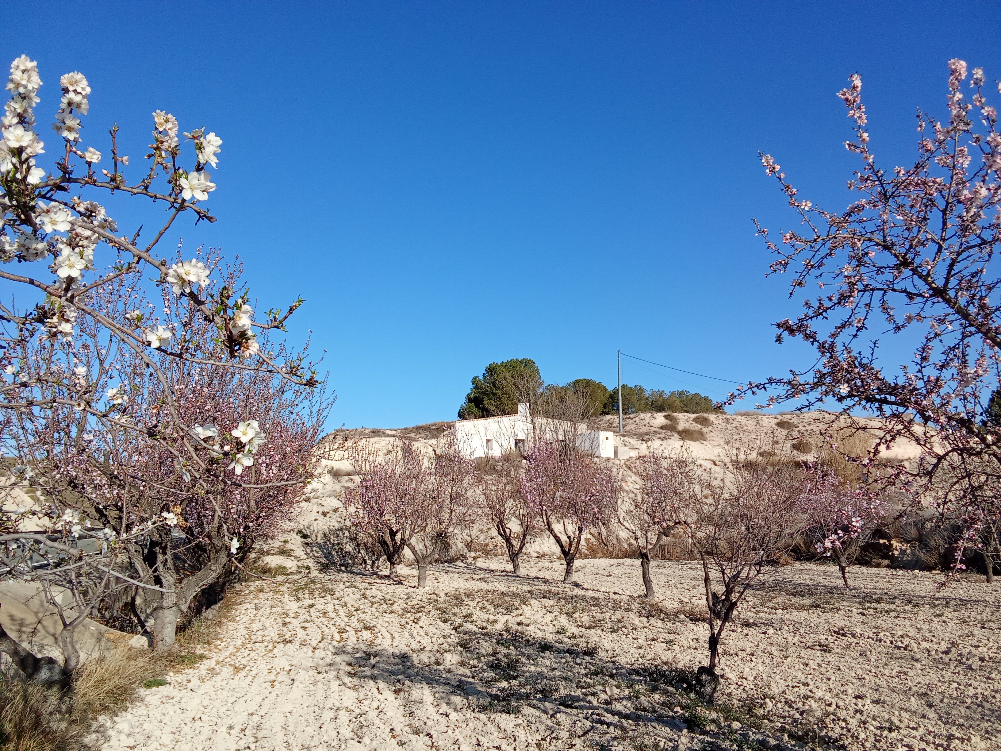 La Cueva de los Abuelos